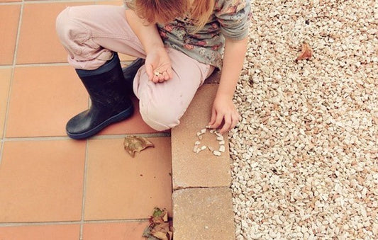 Boston Youth Group session 16th June 5:00pm to 6:30pm